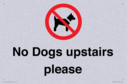 no-dogs-upstairs-please-~